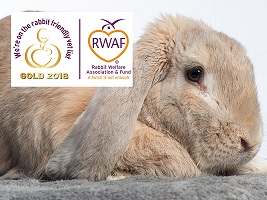 Rabbit specialist best sale near me